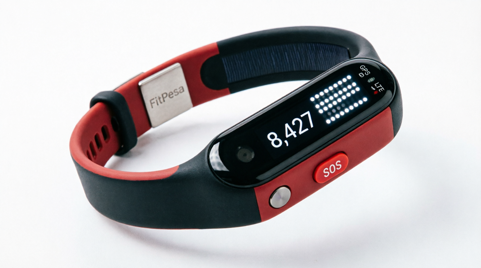 PesaBand Model 1
